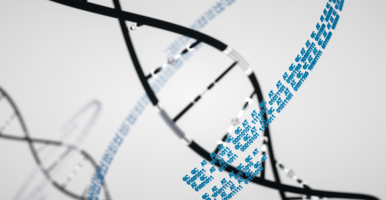 DNA code