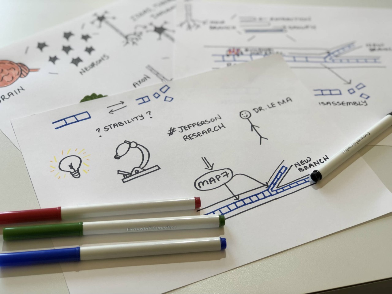 Illustrations of the key concepts and findings of the study