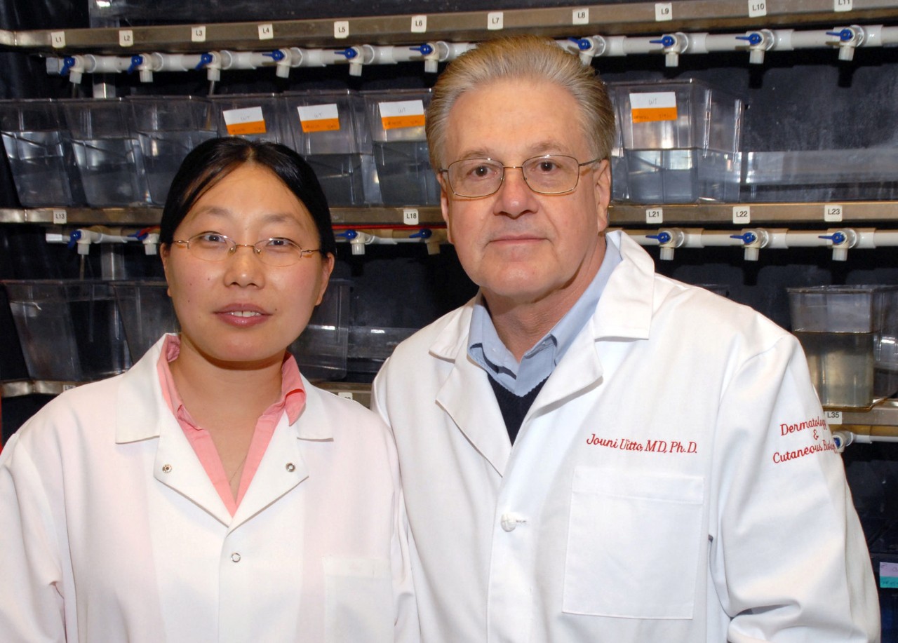 Dr. Uitto is shown with Dr. Qiaoli Li, a previous postdoctoral fellow