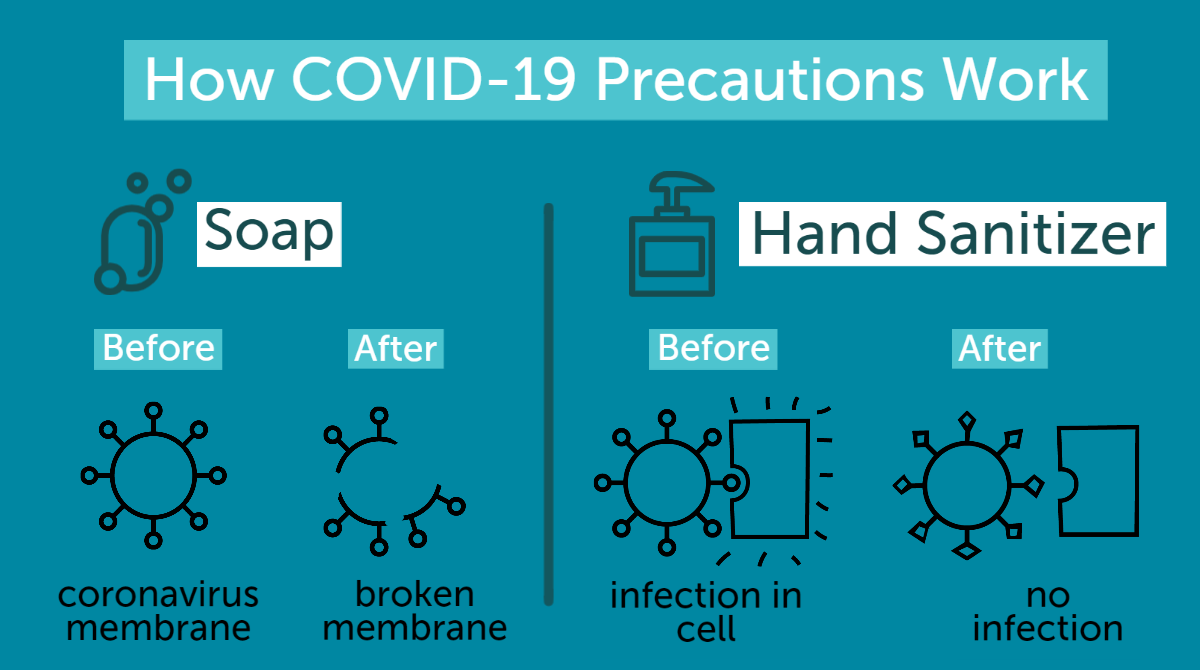 biology of precautions coronavirus graphic