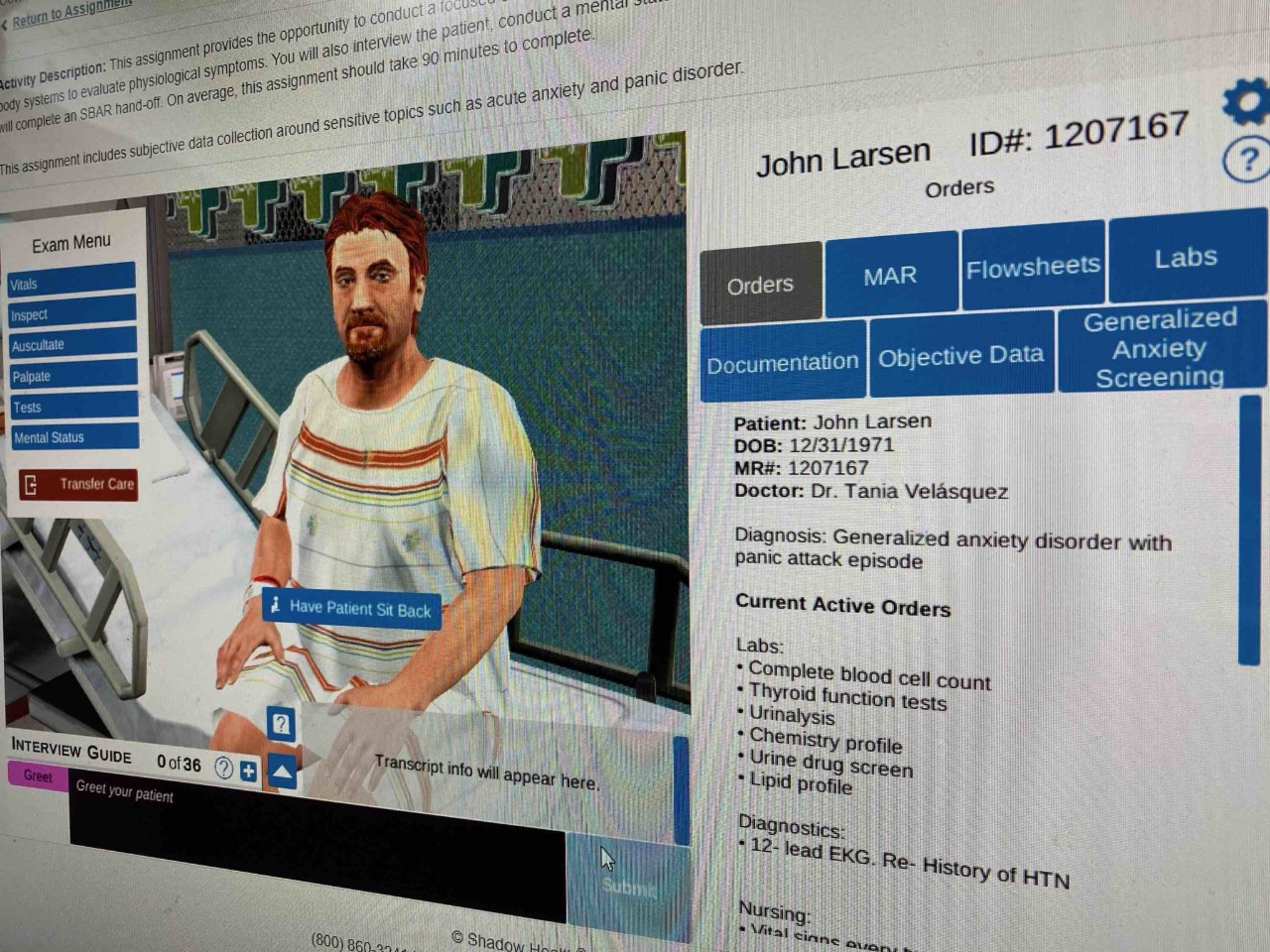 Screen grab from Shadow Health