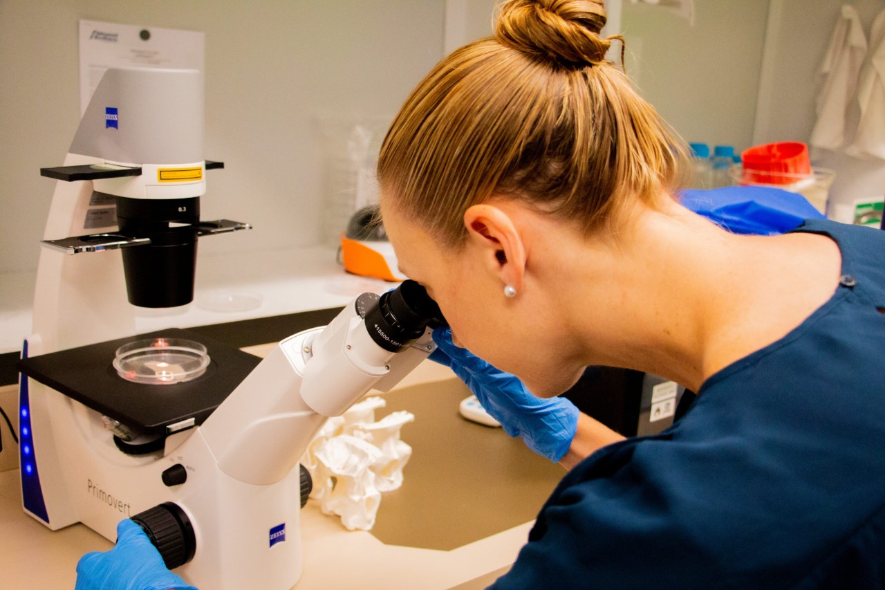 All-female bioprinting team