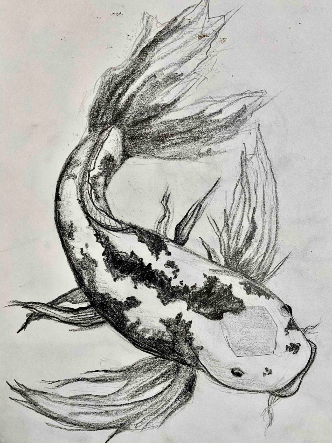 Art Piece- Kelly Abramowitz- Koi
