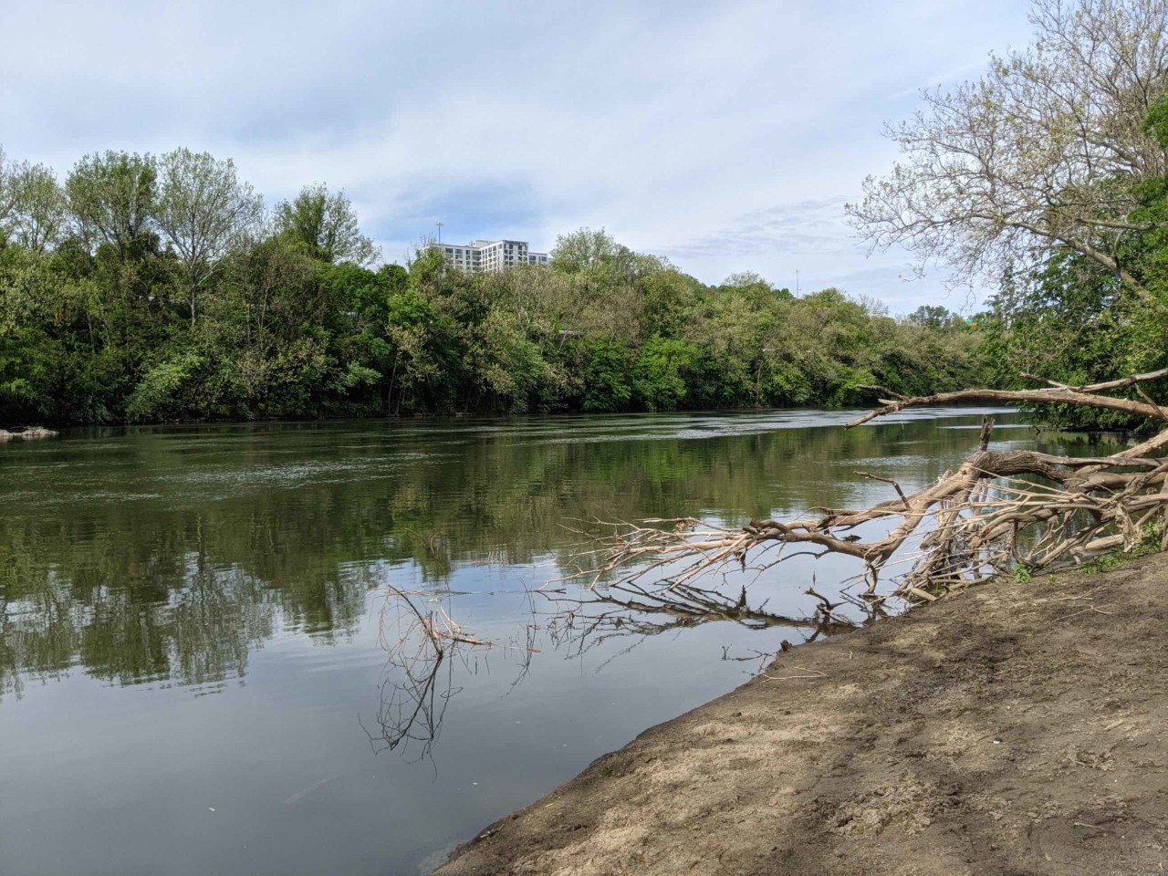 Scenic view of the East Falls River Landing site