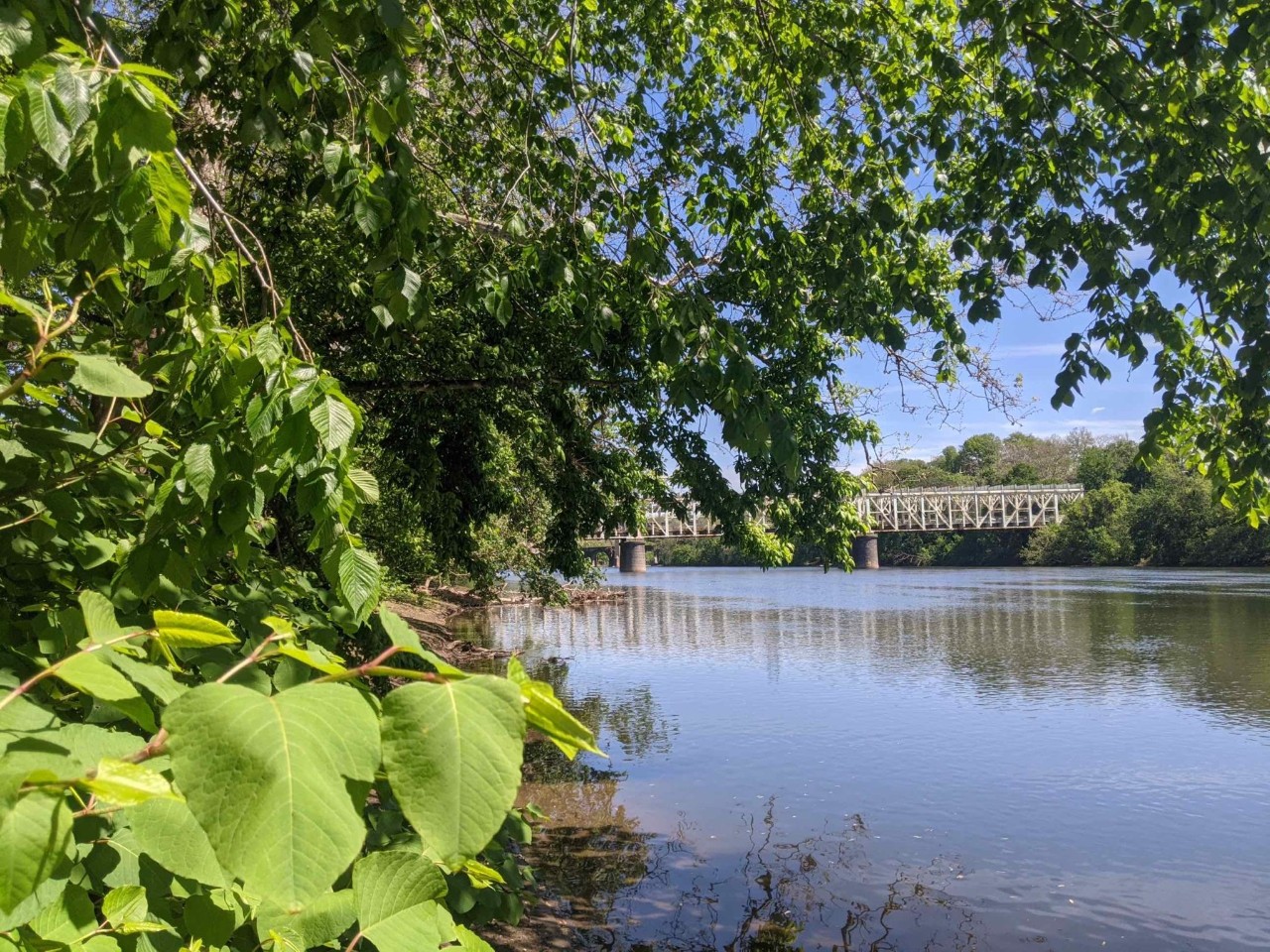 Scenic view of the East Falls River Landing site