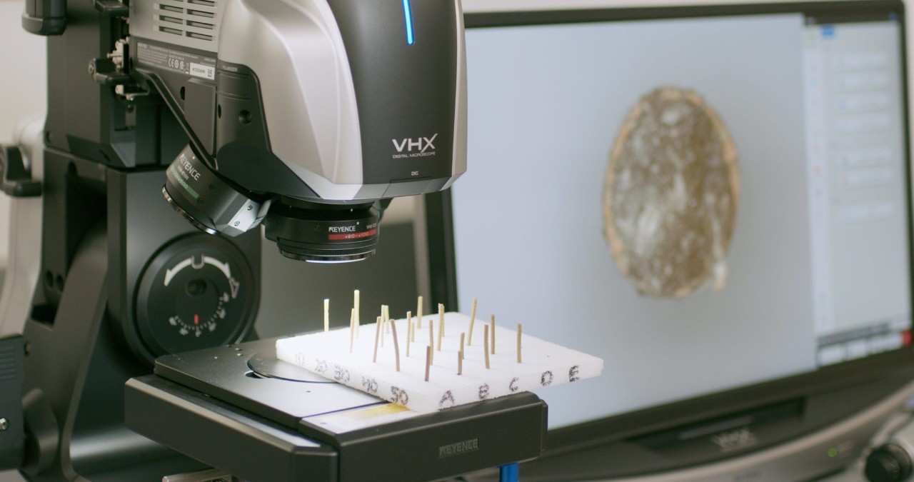 Hemp work in the lab