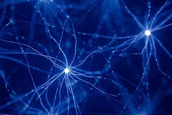 3d illustration of neuron cells network with glowing connections.