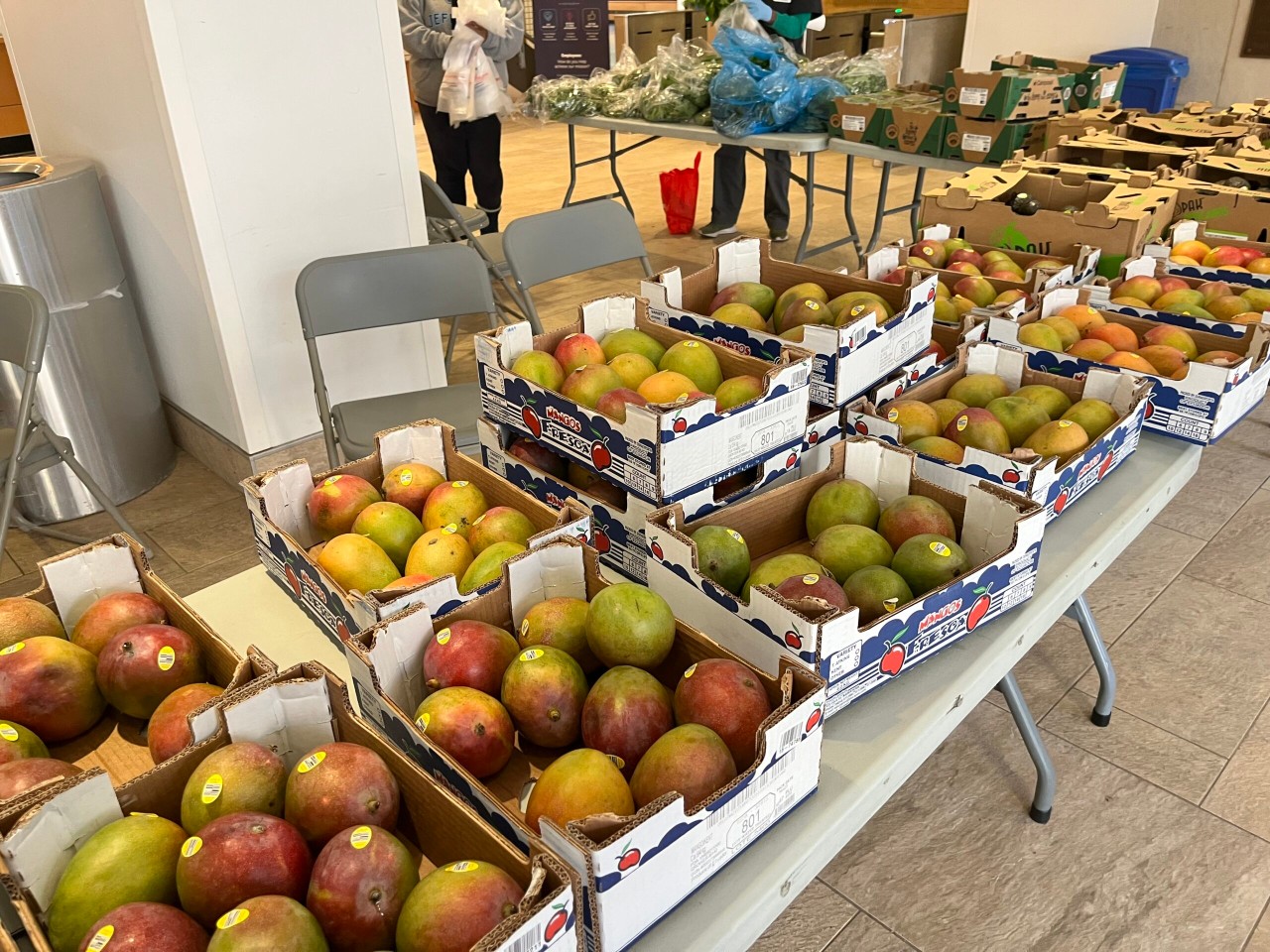 Pennsylvania Hunger-Free Campus designation