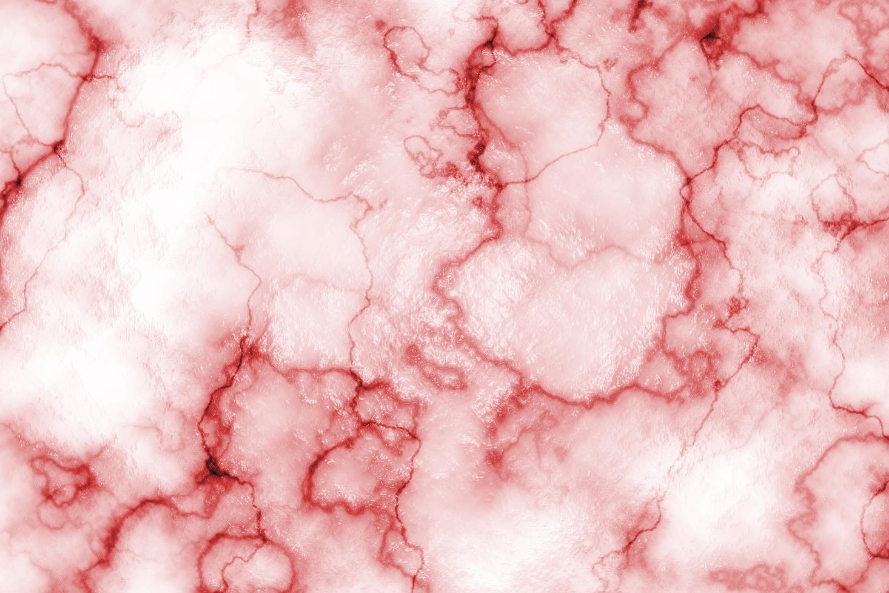 blood vessel on white shiny background