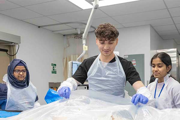 skmc student Dominic Finan Anato-Bee.jpg
