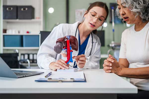 liver model learning for Hepatitis B600x400