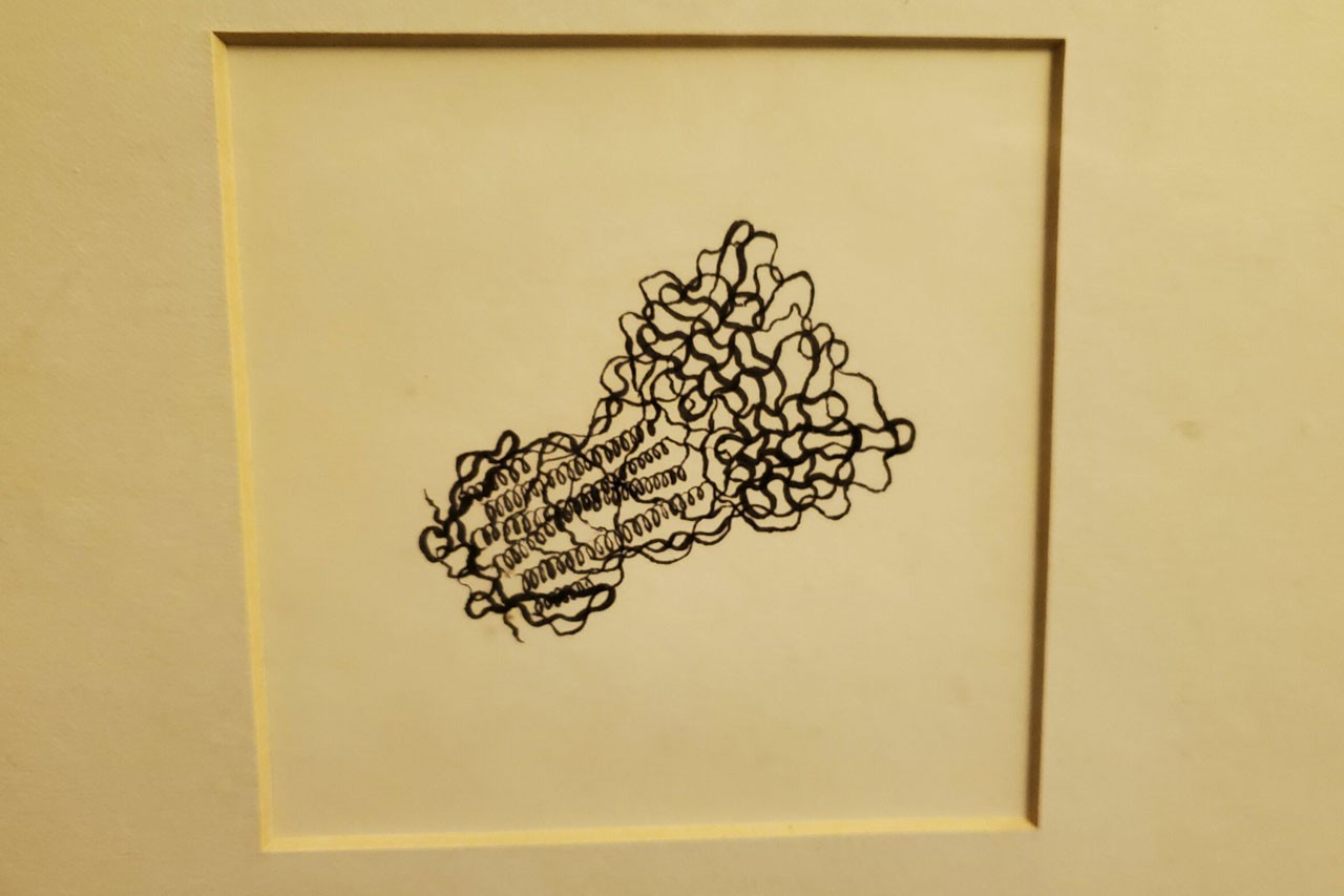 Dr. Armen drawings