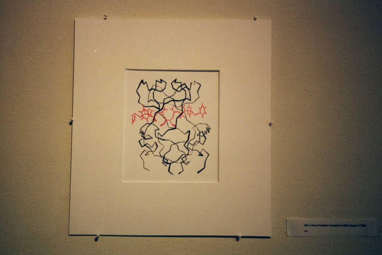 Dr. Armen's artwork collection "Biological Abstractions." Different mediums used include black ink, charcoal, watercolor, acrylics. 