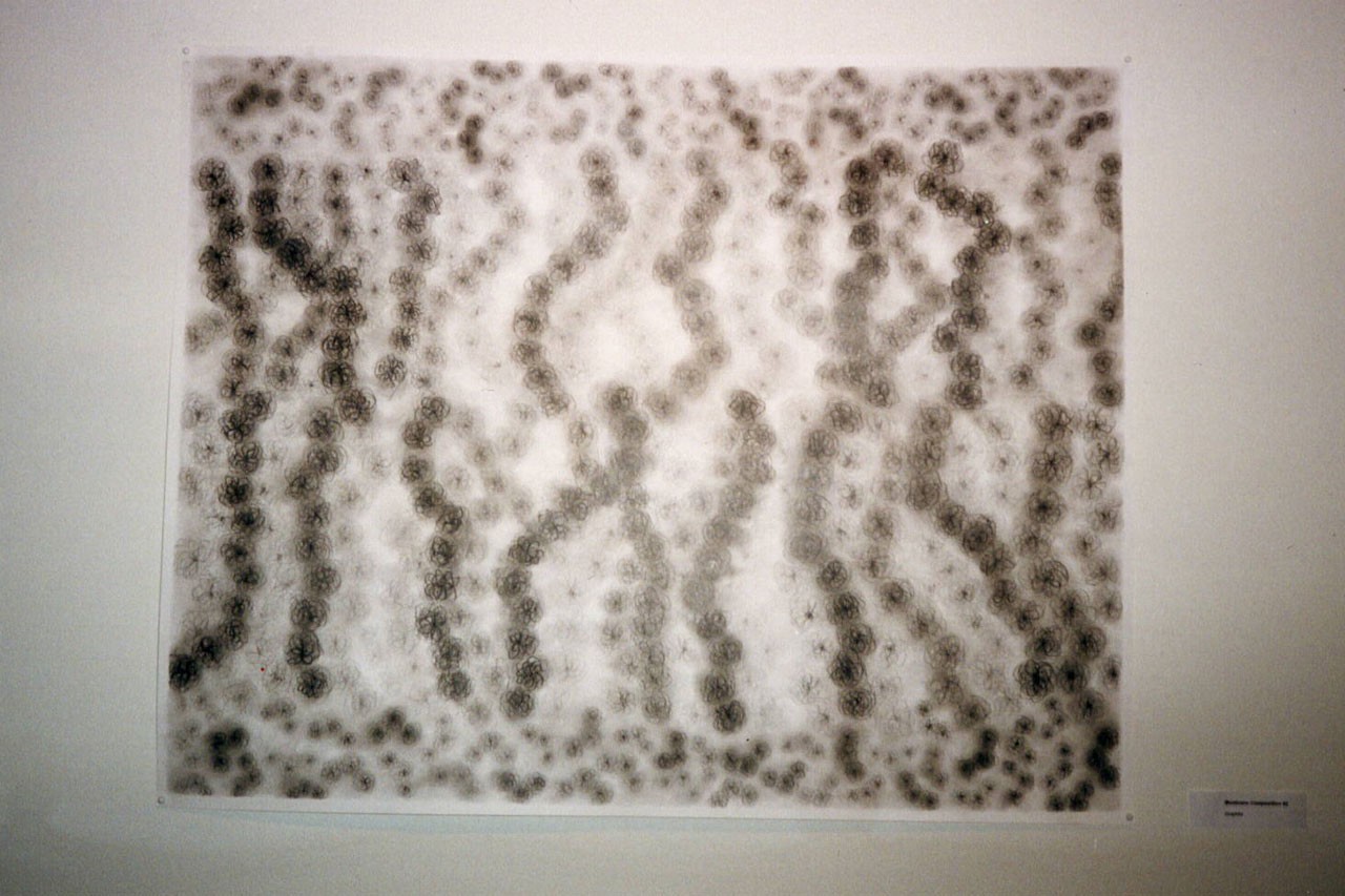 Dr. Armen's artwork collection "Biological Abstractions." Different mediums used include black ink, charcoal, watercolor, acrylics. 