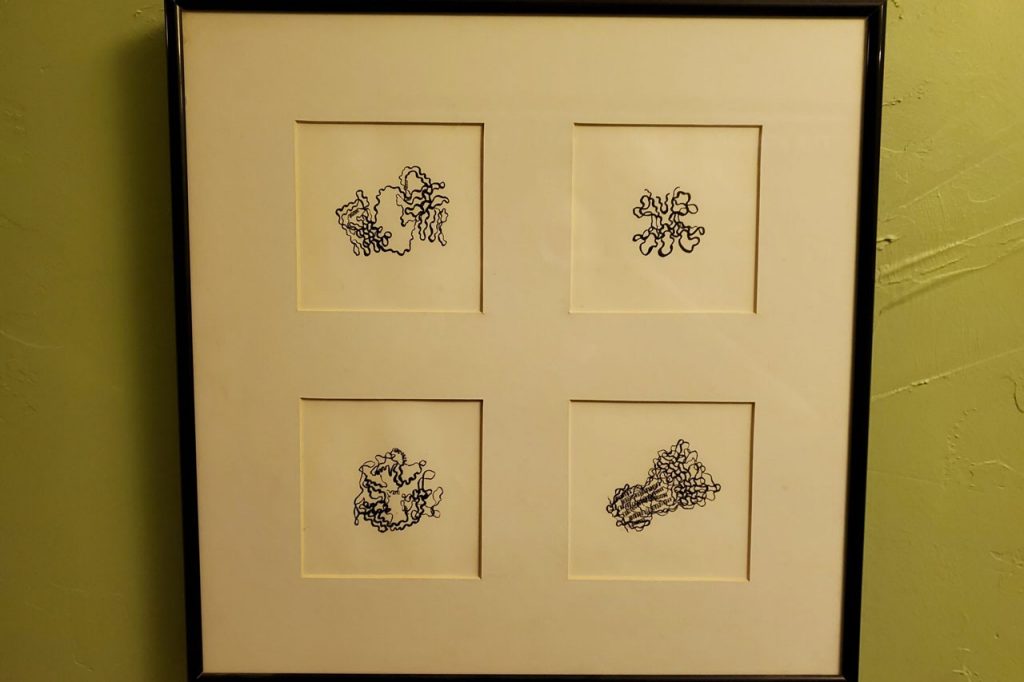 Dr. Armen's artwork collection "Biological Abstractions." Different mediums used include black ink, charcoal, watercolor, acrylics. 