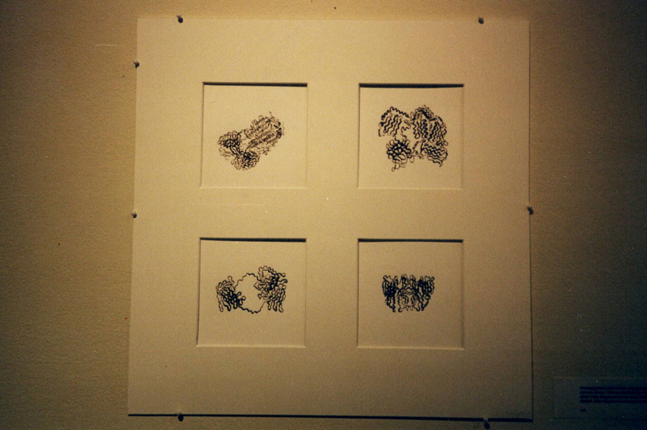 Dr. Armen's artwork artwork collection "Biological Abstractions." Different mediums used include black ink, charcoal, watercolor, and acrylics.