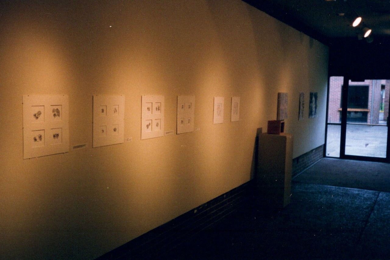 Dr. Armen's artwork artwork collection "Biological Abstractions." Different mediums used include black ink, charcoal, watercolor, and acrylics.
