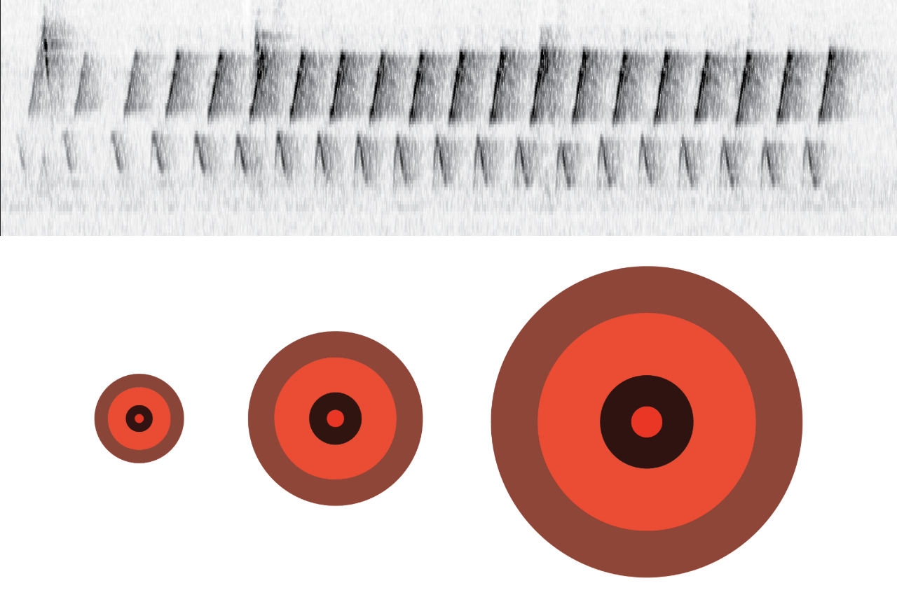 graphic