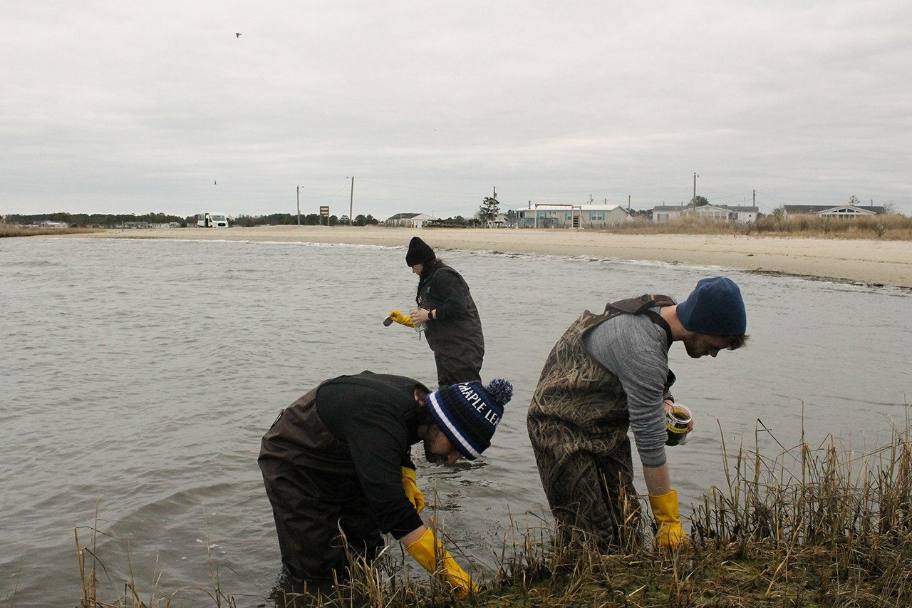 students on delaware coast