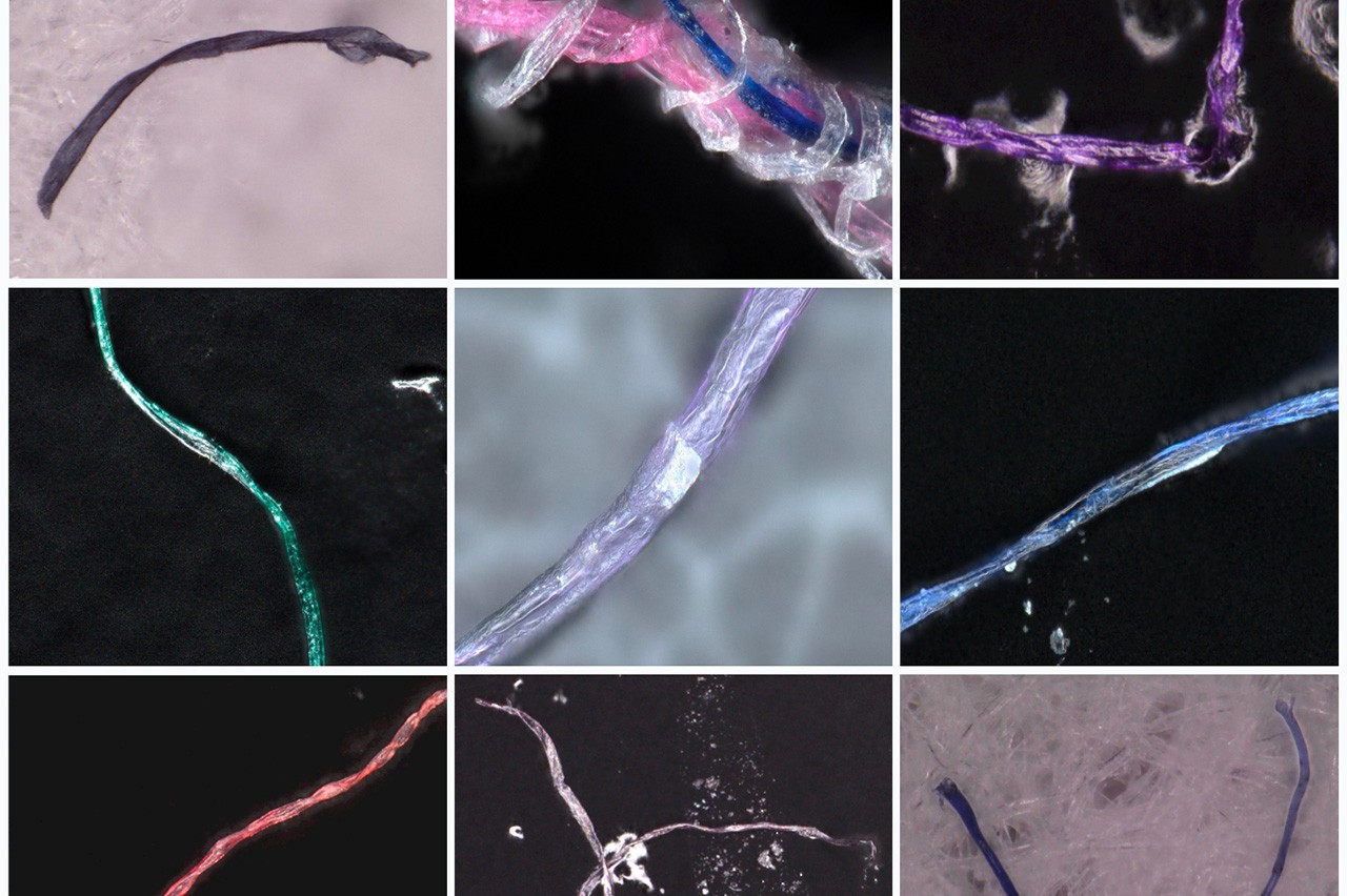 microplastics
