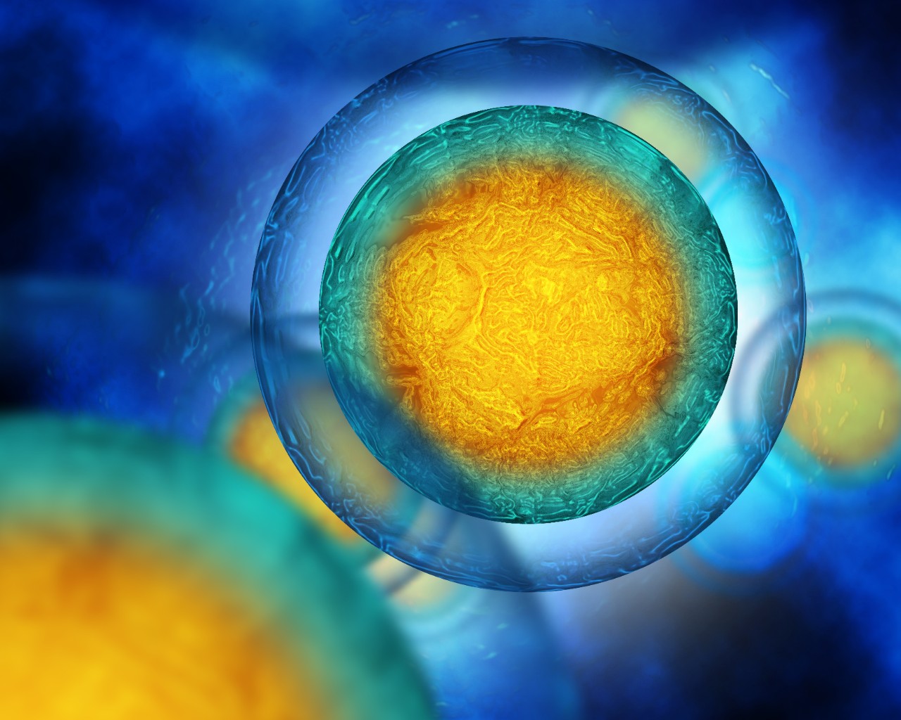 human-cells-colored.jpg egg cells flowing in a blue background